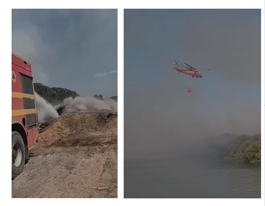 incendiu in delta dunarii pompierii lupta de opt zile pentru lichidarea focului 6899dd7a5614e