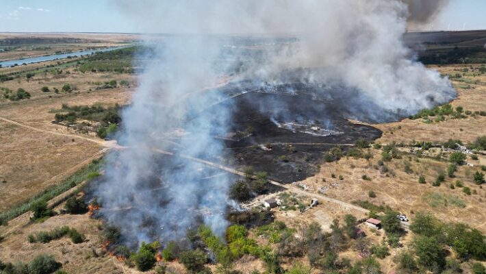 incendiu violent de vegetatie uscata in medgidia pompierii intervin cu 9 autospeciale 68a1e8b9d1613