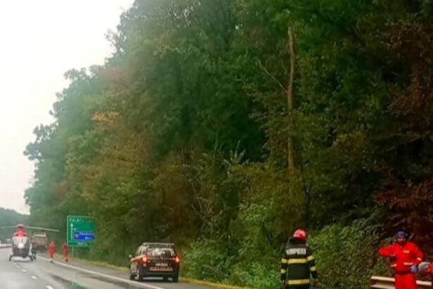 ipoteza socanta in cazul accidentului de pe a1 gestul facut de cei doi tineri inainte de a fi loviti de un tir 68a595694308b