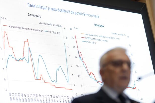 isarescu explica esecul trecerii romaniei la moneda euro pot sa vorbesc liber 689b158e31b1b