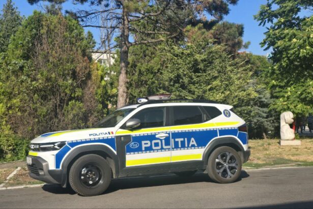 jale in trafic soferi beti sau fara permis prinsi de politistii din agigea costinesti si techirghiol 68a33074bc43c