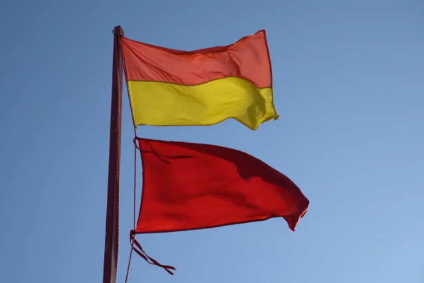 jandarmii si politistii patruleaza pe plajele din sudul litoralului unde astazi este arborat steagul rosu primele amenzi date in venus turistilor care i au ignorat pe salvamari 68a461a073d0a