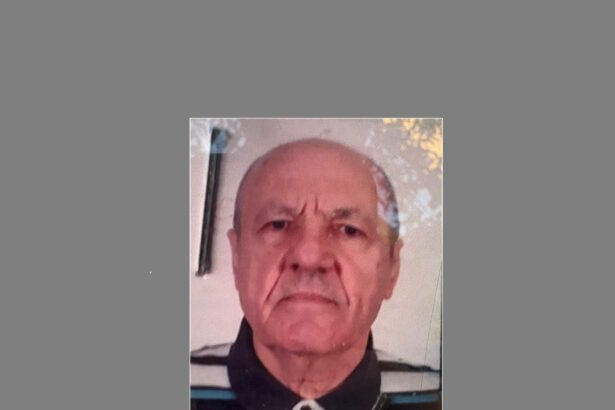 l ati vazut un barbat venit din braila a disparut la navodari 68a75c940aed5