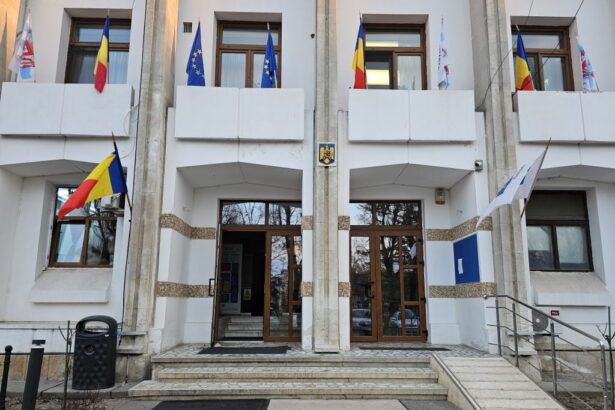 laura bobes data afara din primarie de primarul chitac in urma unei anchete dna ar putea reveni in functie 689dadc39b361