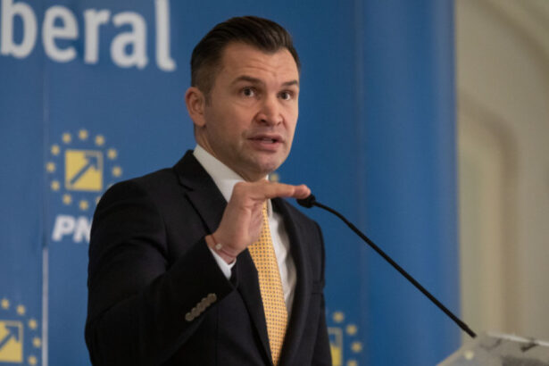lider pnl sageti privind politica externa a romaniei ar trebui sa fim mai activ implicatati in consultarile privind ucraina 68a1b6000346b