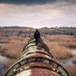Livrările de petrol rusesc către Ungaria, întrerupte după un atac ucrainean asupra unui oleoduct. 2 livrarile de petrol rusesc catre ungaria intrerupe in urma unui atac ucrainean vizand un oleoduct 68a2f774e755a