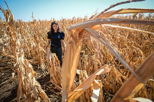 lucrarile agricole in camp se vor desfasura cu dificultate in aproape toata tara din cauza secetei 68b2ccfecc5a6