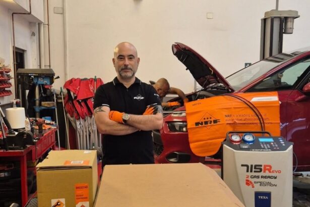 marius ghimici explica de ce masinile electrice se confrunta cu un declin al vanzarilor 68acd37c93a63
