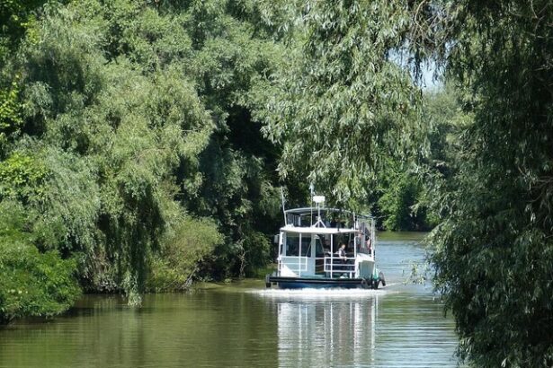 modificare vizata pentru delta dunarii creste numarul de persoane care pot fi transportate cu barci de agrement 6892e2b7362fb