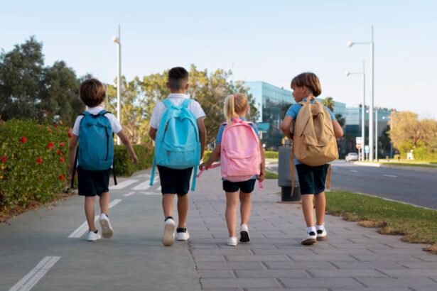 o solutie temporara pentru elevi si studenti fond national de burse pana la stabilizarea fiscala 68b3e2d3e8bcd