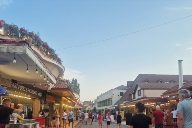 patronii de la casa covasna din satul de vacanta au dat in judecata consiliul local constanta la mijlocul litigiului terenul pe care se afla casuta 6896010e2e87d