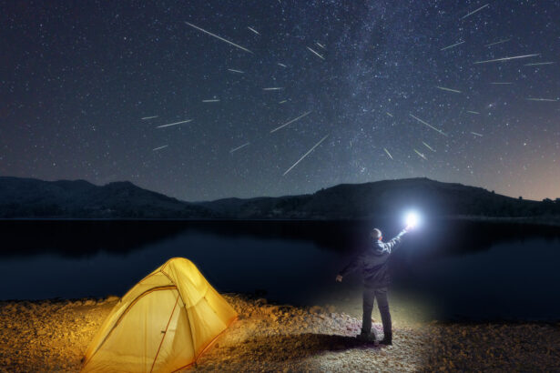 perseide 2025 fenomenul astronomic atinge apogeul in aceasta noapte din ce zone se pot observa pana la 100 de meteori pe ora 689acda5066fe