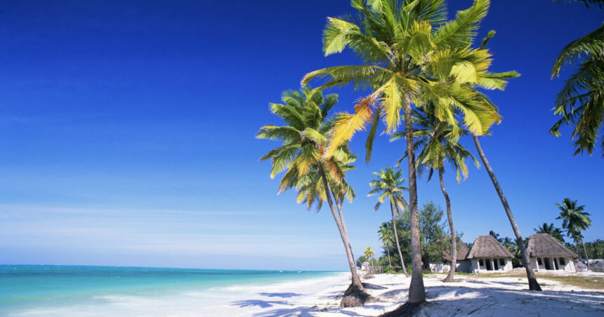 Peste 30 de persoane din Satu Mare, înșelate cu vacanțe false în Zanzibar. Care este valoarea prejudiciului? 1 peste 30 de persoane din satu mare inselate cu vacante fictive in zanzibar la cat se ridica prejudiciul 689da55f82229