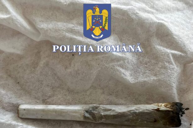 petrecerea s a incheiat prost tanara prinsa cu canabis la neversea condamnata la inchisoare 68ae2c05c67ee