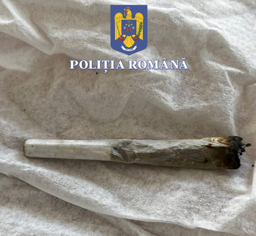 petrecerea s a incheiat prost tanara prinsa cu canabis la neversea condamnata la inchisoare 68ae2c05c67ee