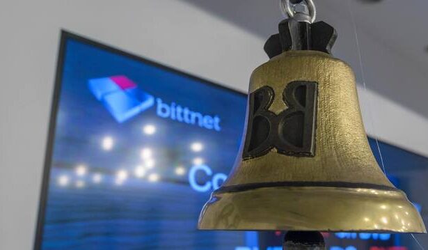 pierdere la s1 pentru bittnet systems conducerea companiei mizeaza pe contracte in valoare de sute milioane lei 68b1da6c6c927