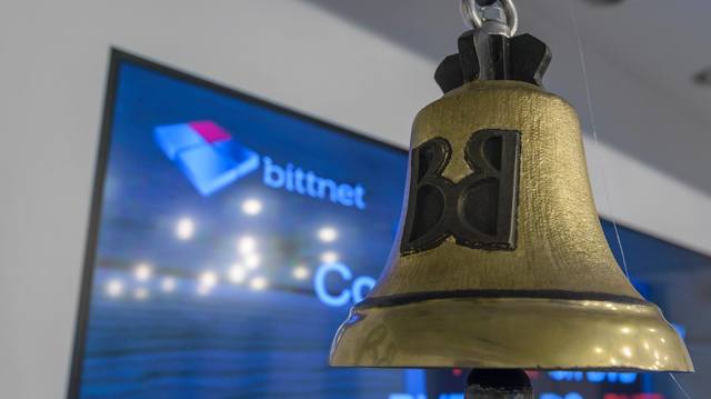 pierdere la s1 pentru bittnet systems conducerea companiei mizeaza pe contracte in valoare de sute milioane lei 68b1da6c6c927