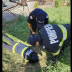 Pompierii au salvat un câine căzut în canal, iar ISU solicită semnalizarea zonele cu risc, vizibilă pentru oameni și animale. 2 pompierii au salvat un caine cazut in canal isu cere semnalizarea zonelor cu risc vizibila atat pentru oameni cat si pentru animale 68a5bf9a45b9c