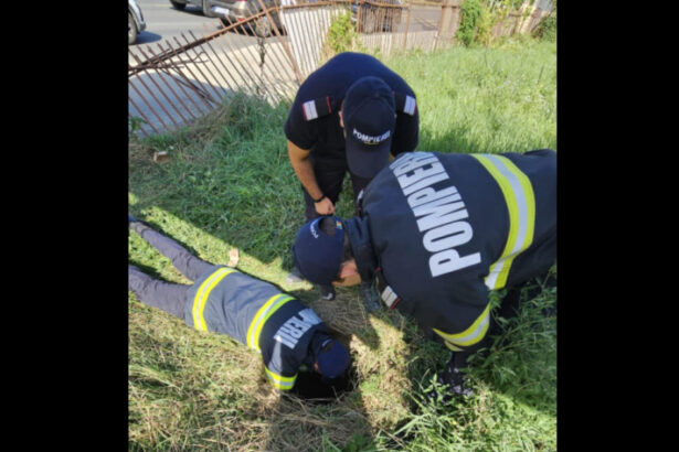 pompierii au salvat un caine cazut in canal isu cere semnalizarea zonelor cu risc vizibila atat pentru oameni cat si pentru animale 68a5bf9a45b9c