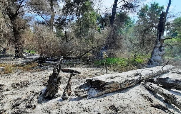 pompierii tulceni se deplaseaza din nou in zona sireasa din delta dunarii 68a43af2bf289