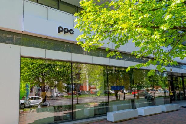 ppc anunta clientii facturile vor intarzia plus schimbari in facturi 6894620670d74