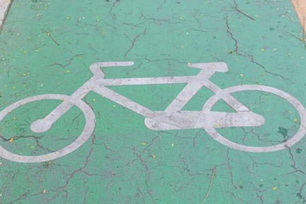 prima pista de biciclete pe diguri din tara a fost inaugurata in judetul bihor 68abe31767f14