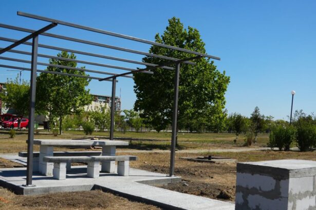 primaria cumpana amenajeaza locuri pentru picnic si gratar in parcul verde 689dc6b4bd66a