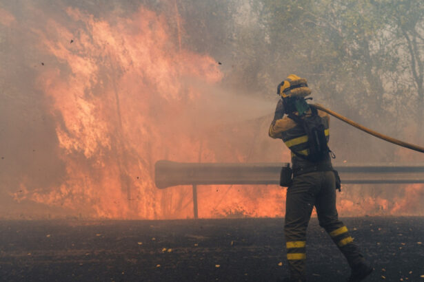 romania trimite 51 de pompieri in spania care sa ajute la stingerea incendiilor de padure 68a5f7da6ad71