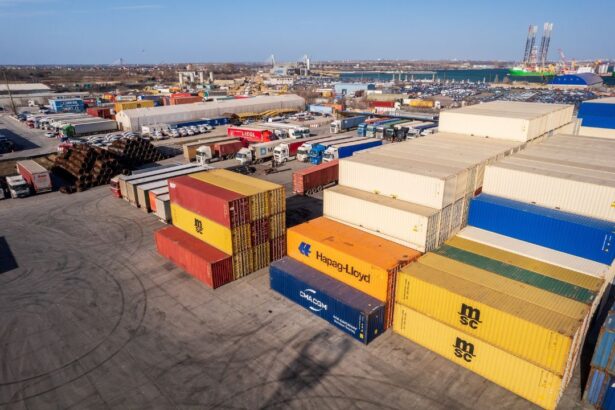 schimbari in conducerea sea container shipping logistics srl firma lui bogatu fainarea si pilca 688cf78e04034