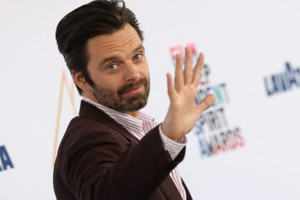 sebastian stan va juca in frankenstein in romania regizat de radu jude filmul va include o inchisoare cia si legenda monstrului 68aa06db35be1