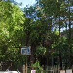 Reabilitarea și modernizarea Secției Clinice Dermatovenerologice a Spitalului Județean Constanța 2 sectia clinica dermatovenerologica a spitalului judetean constanta va fi reabilitata si modernizata 68a4225866433