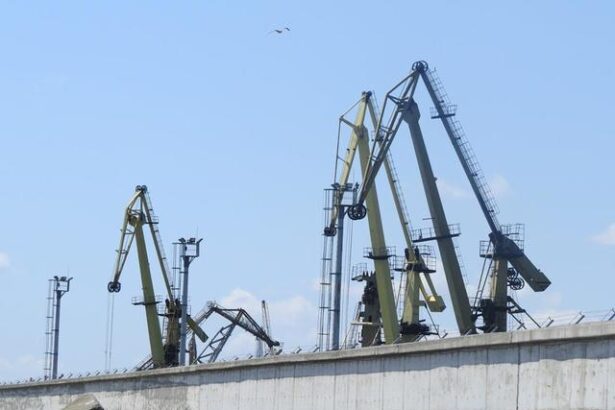socep constanta dinamica favorizata de cresterea numarului containerelor procesate 68b088f37f37b