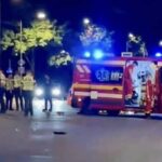 soferul beat si drogat care a provocat accidentul mortal de pe soseaua mangaliei arestat 689b7466279a5