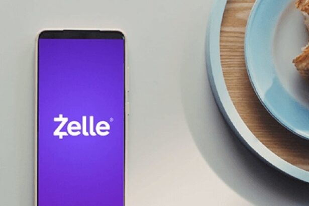 statul new york da in judecata platforma de plati electronice zelle acuzand deficiente de securitate care au permis fraude de peste 1 miliard de dolari 689dd4a7a2313