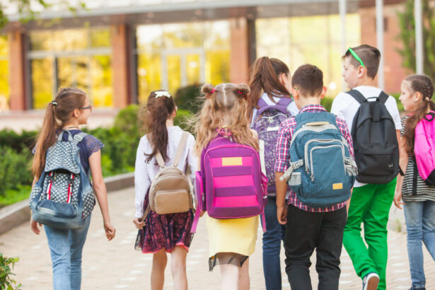 termenul pentru cheltuirea banilor de pe cardurile educationale pentru anul scolar 2024 2025 a fost prelungit 68b075cb2ce3b