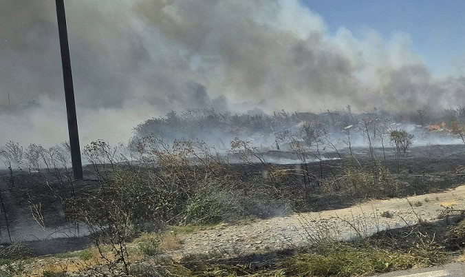 Trafic rutier oprit pe Autostrada A2 București-Constanța din cauza unui incendiu de vegetație 1 trafic rutier oprit pe autostrada a2 bucuresti constanta in urma unui incendiu de vegetatie 68948510c8a0b
