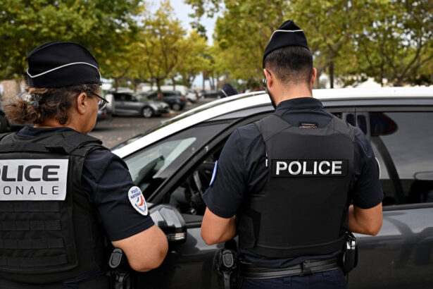 un mort si cinci raniti dupa ce o masina a intrat intentionat intr un grup de pietoni in franta 68b2e412b60d1