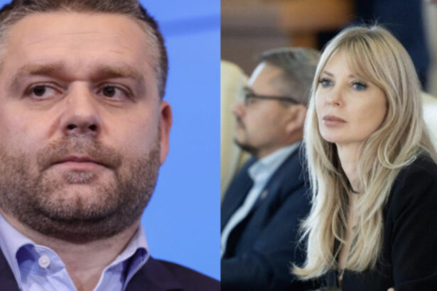 victoria stoiciu mesaj pentru daniel david existau deja multi studenti obligati sa lucreze part time replica lui ciprian ciucu 68a613f9c40c7