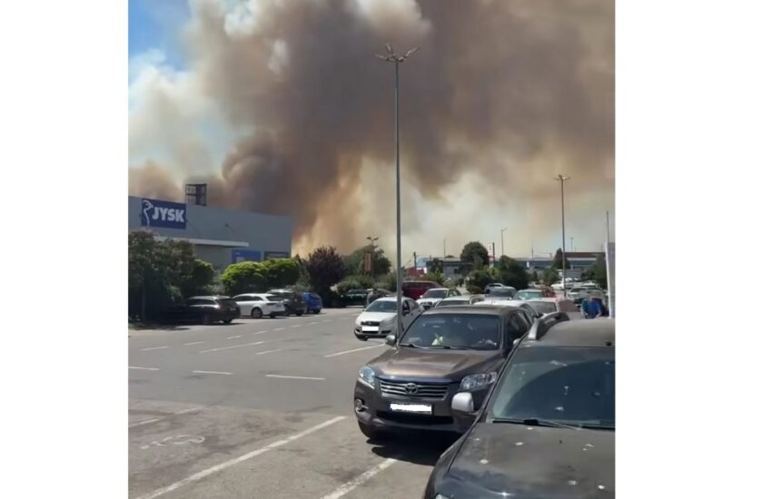 Alertă în Medgidia: arde vegetația uscată lângă școala nr. 2 1 video alerta in medgidia arde vegetatia uscata langa scoala nr 2 68a1b7aa2aa8b