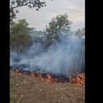 video alerta intre eforie nord si sud a luat foc vegetatia uscata dintre cele doua statiuni 68a468a6ed22a