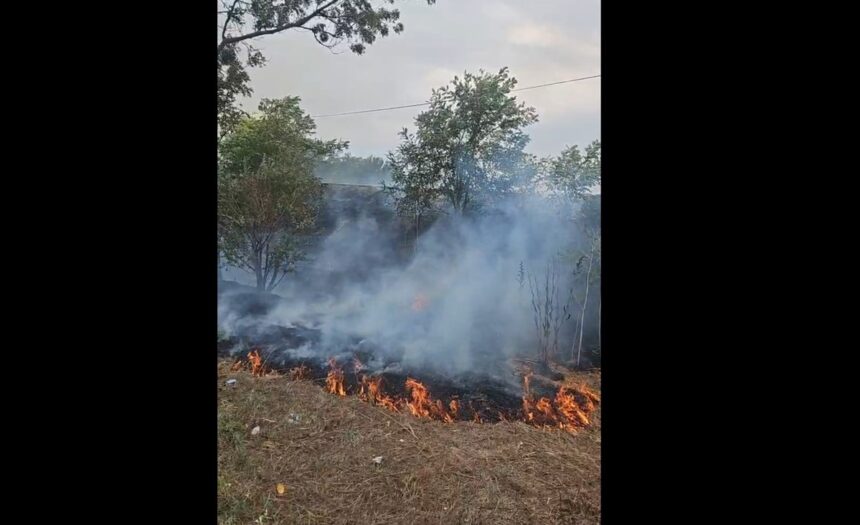 Alertă între Eforie Nord și Sud! A luat foc vegetația uscată dintre cele două stațiuni 1 video alerta intre eforie nord si sud a luat foc vegetatia uscata dintre cele doua statiuni 68a468a6ed22a