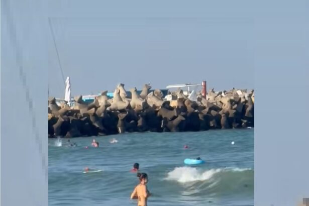 video alerta pe plaja din eforie nord un copil dus de valuri in larg a fost recuperat de salvamari 68b3e9d2e89df