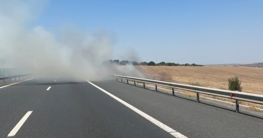 Autostrada Soarelui, închisă din cauza unui incendiu de vegetație; trafic deviat către București. 1 video autostrada soarelui inchisa din cauza unui incendiu de vegetatie traficul catre bucuresti a fost deviat 6899d41222489