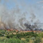 video circulatia feroviara suspendata dupa incendiul violent izbucnit langa medgidia 68a1e97e1256c