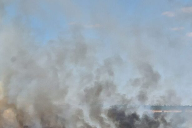 video circulatia feroviara suspendata dupa incendiul violent izbucnit langa medgidia 68a1e97e1256c