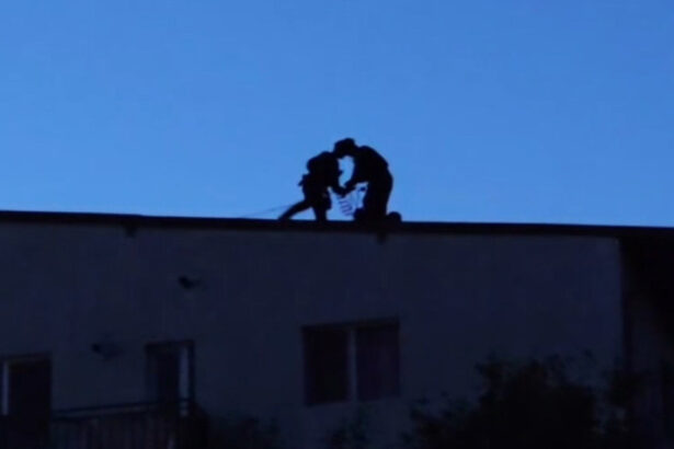 video de ce a durat 13 ore interventia politiei la barbatul blocat in casa in otopeni momentul in care suspectul a fost capturat de mascati 68b28c2ca6945