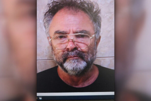 video detinutul evadat din ambulanta care il ducea la jilava a fost prins a sarit pe geamul autospecialei si s a ascuns pe camp 689d7eb518d9c