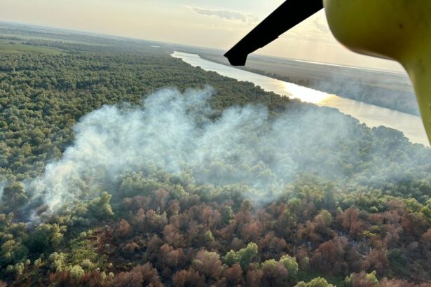 video elicopterul black hawk intervine in judetul tulcea ard mai multe hectare de vegetatie uscata stuf si fond forestier din chilia veche 6890e1af8d304