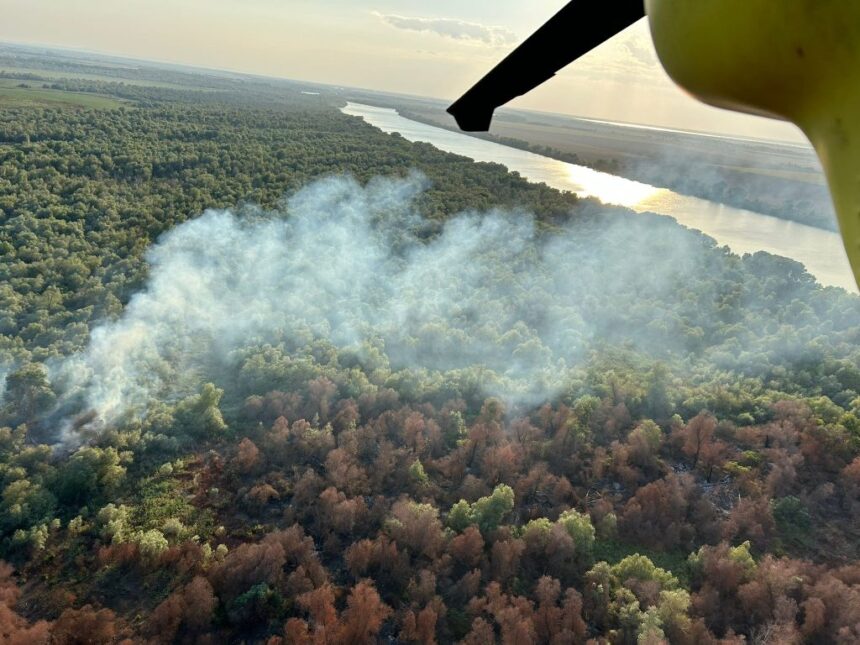 Elicopterul Black Hawk intervine în județul Tulcea: Ard mai multe hectare de vegetație uscată, stuf și fond forestier din Chilia Veche 1 video elicopterul black hawk intervine in judetul tulcea ard mai multe hectare de vegetatie uscata stuf si fond forestier din chilia veche 6890e1af8d304