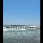 Turiștii au format un lanț uman la Jupiter pentru a salva doi copii și un bărbat de 35 de ani din valuri, pe plaja Delta. 2 video emotionant turistii au facut lant uman la jupiter pentru a i scoate din valuri pe cei doi copii si barbatul de 35 de ani de pe plaja delta 68a077b5bd14e